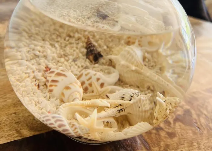 Baltic Nr. 5 アパート *