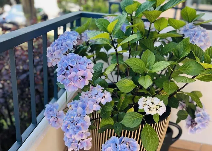 Baltic Nr. 5 アパート シャルボイツ